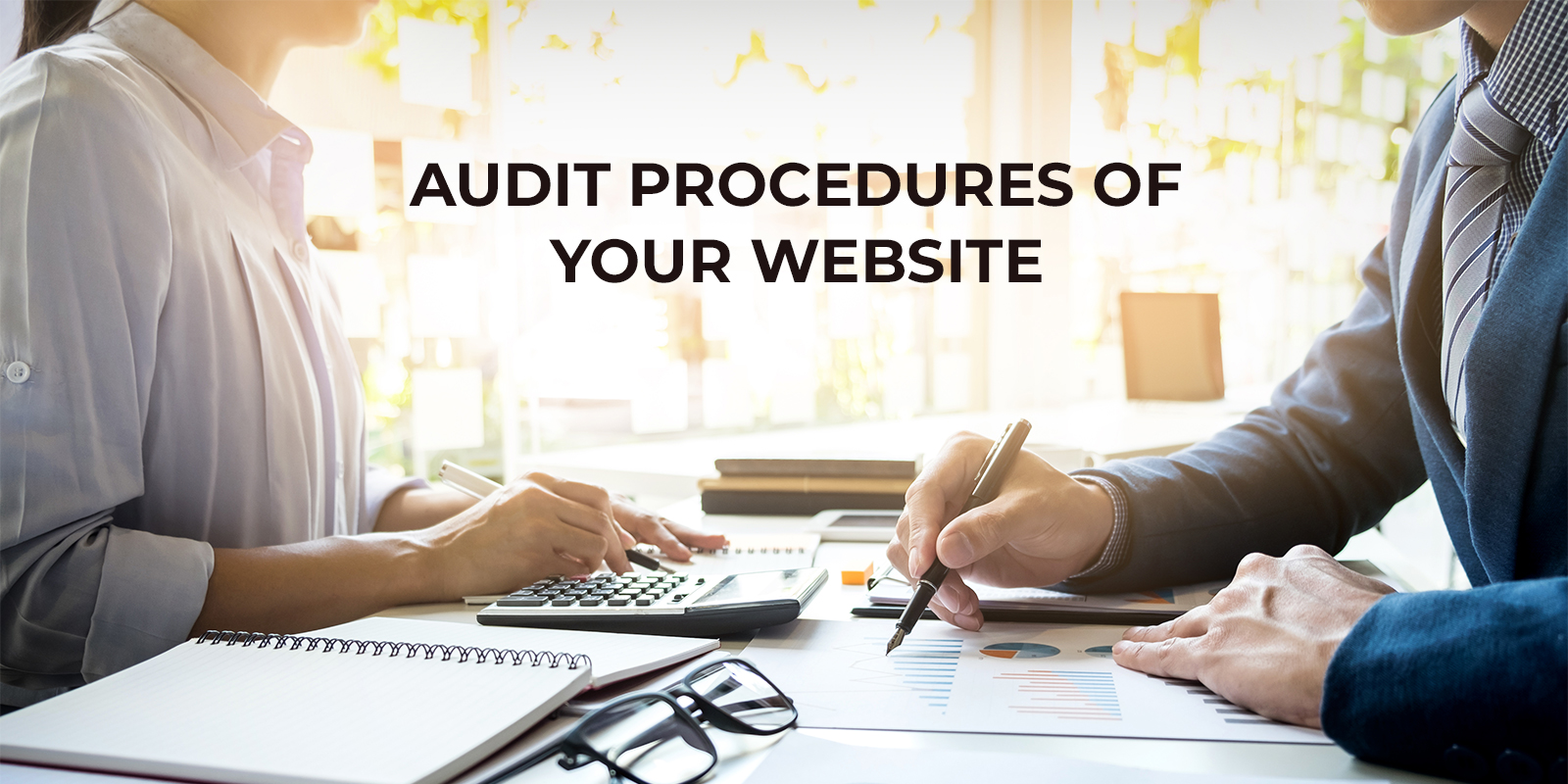 Website Audit Procedures