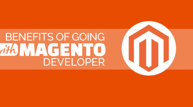 Benefits of Going with Affordable Magento Developer