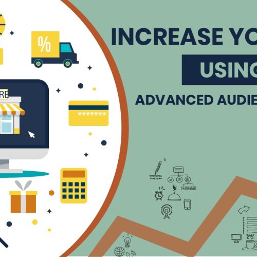 Increase your Sales Using Advanced Audience Targeting with PPC