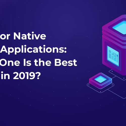 Hybrid or Native Mobile Applications: Which One Is the Best Choice in 2019?