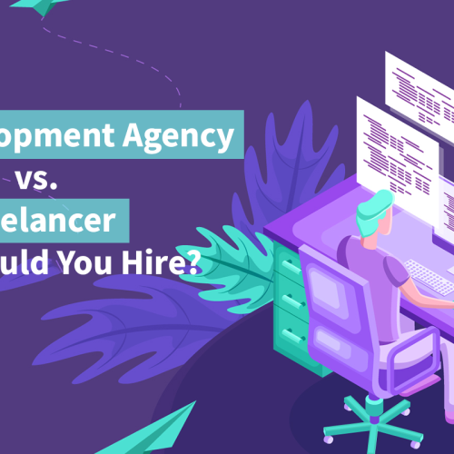 Web Development Agency vs. Freelancer- Who Should You Hire?