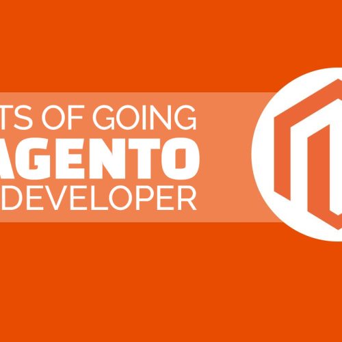 Benefits of Going with Affordable Magento Developer